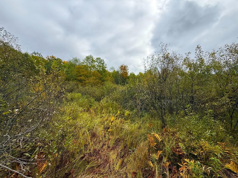 TBD 360th St, Onamia, MN 56359