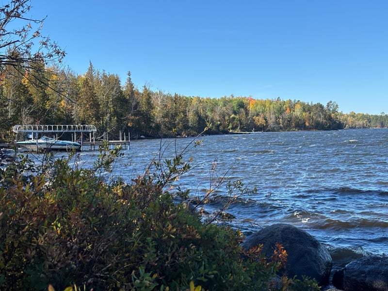 TBD Armstrong Bay Rd, Tower, MN 55790