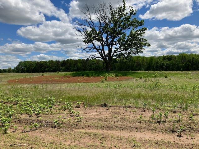 Parcel C Keystone Ave, Sunrise Twp, MN 55032
