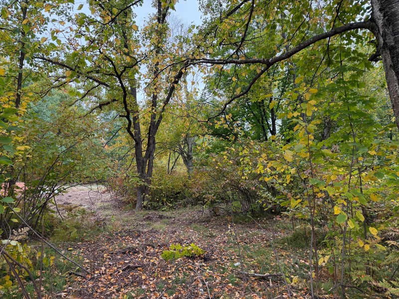 51315 Sand Creek Rd, Bruno, MN 55712