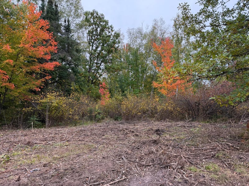 51315 Sand Creek Rd, Bruno, MN 55712