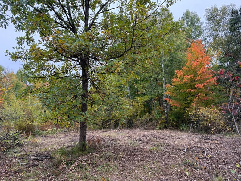 51315 Sand Creek Rd, Bruno, MN 55712