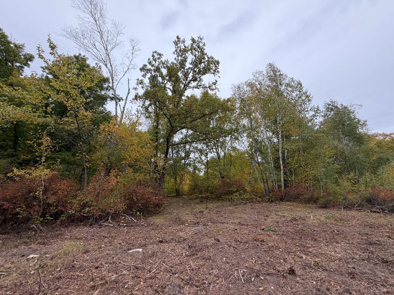 51315 Sand Creek Rd, Bruno, MN 55712