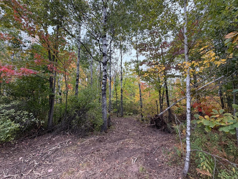 51449 Sand Creek Rd, Bruno, MN 55712