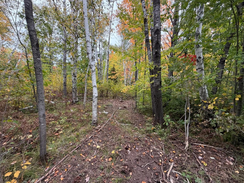 51449 Sand Creek Rd, Bruno, MN 55712