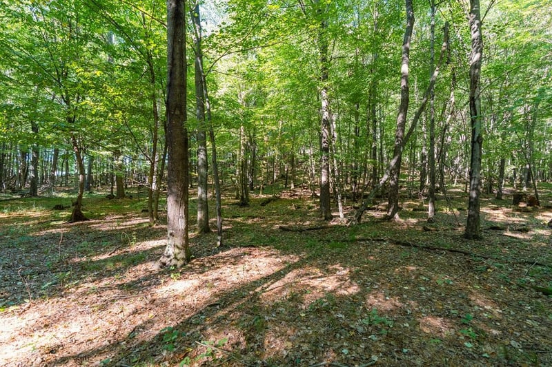 Lot3 815th Ave, Menomonie, WI 54751