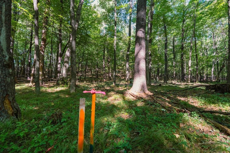 Lot3 815th Ave, Menomonie, WI 54751