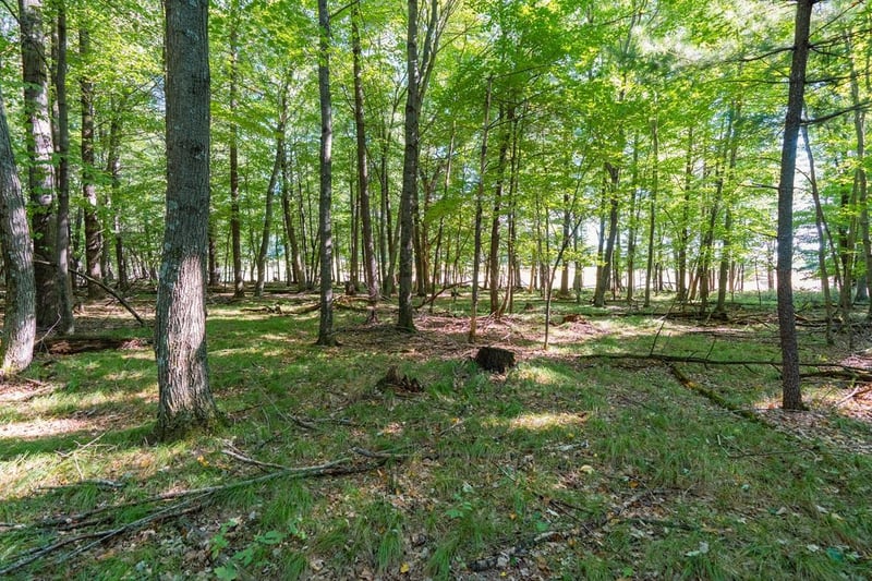Lot5 815 Ave, Menomonie, WI 54751