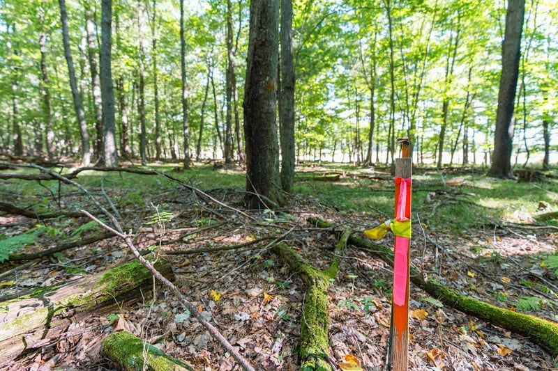 Lot5 815 Ave, Menomonie, WI 54751