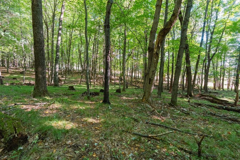 Lot6 815th Ave, Menomonie, WI 54751