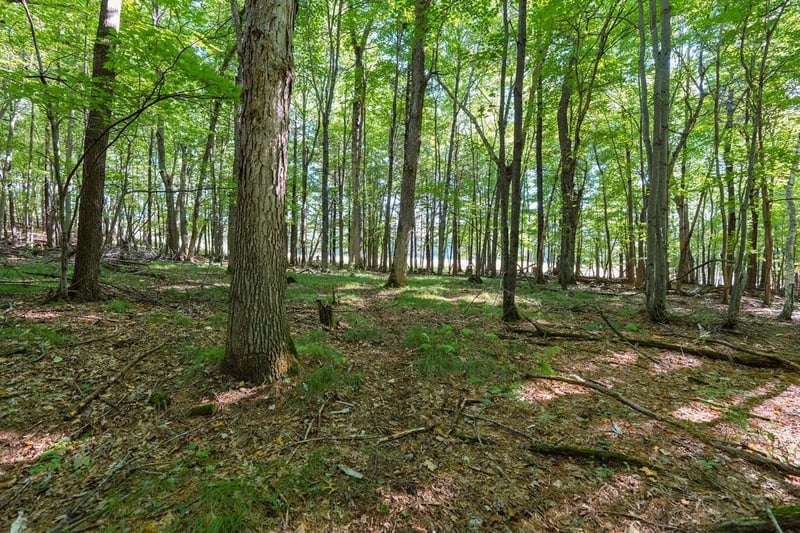 Lot7 815th Ave, Menomonie, WI 54751