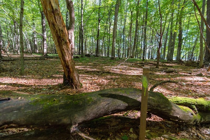 Lot7 815th Ave, Menomonie, WI 54751