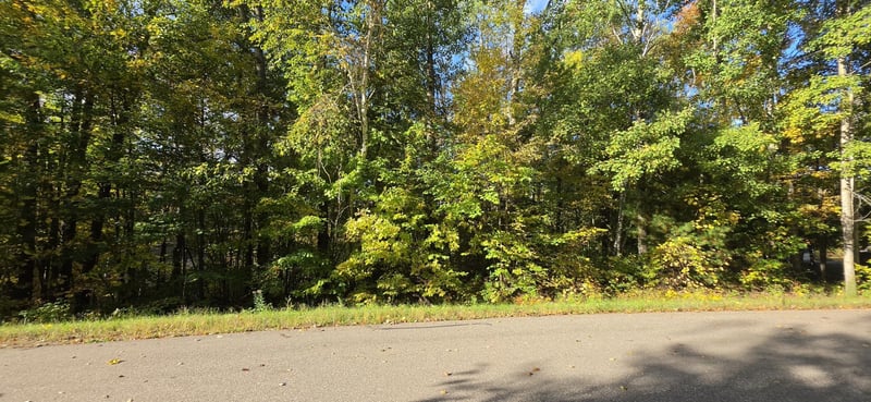 TBD Easy St, Cushing, MN 56443