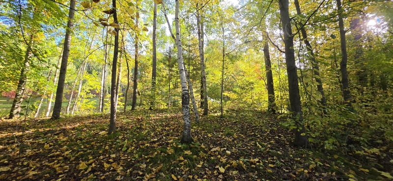 TBD Easy St, Cushing, MN 56443