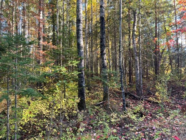 TBD Lost Lake Rd, Tower, MN 55790