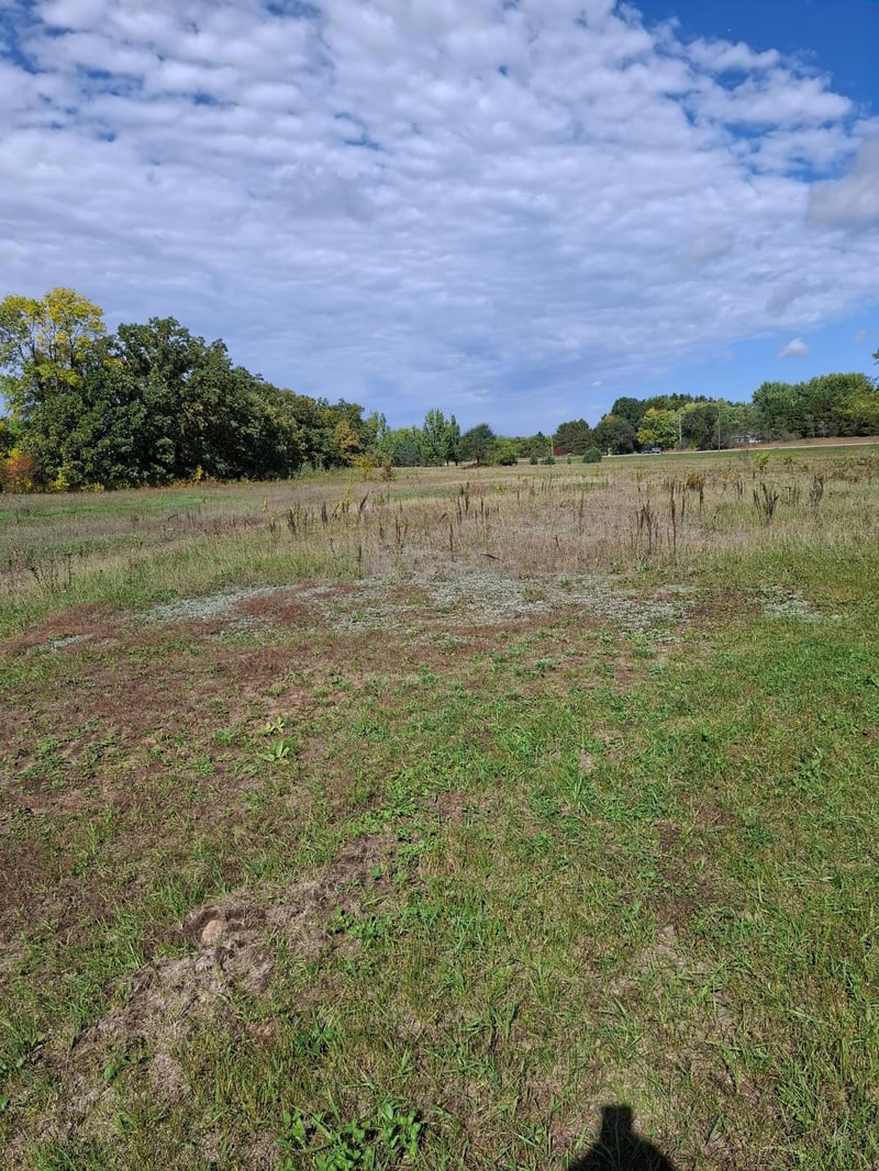 11577 Us Highway 71, Wadena, MN 56482