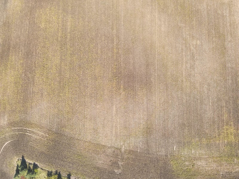 XXXXX 402nd Ave Tract C, Clitherall, MN 56524