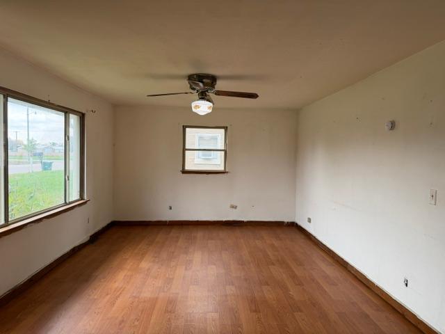 110 Martin St, Le Sueur, MN 56058