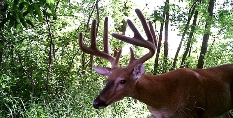 29517 County Highway 24, Erhard, MN 56534