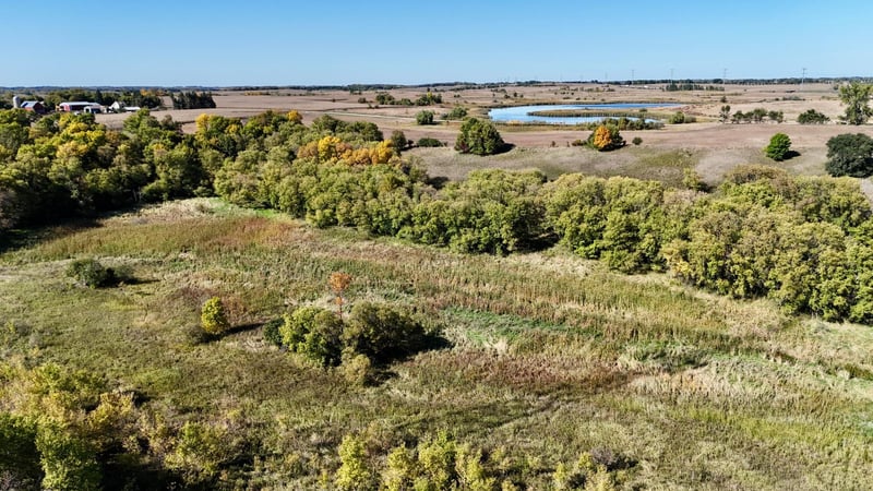 TBD 160th Ave, Ashby, MN 56309
