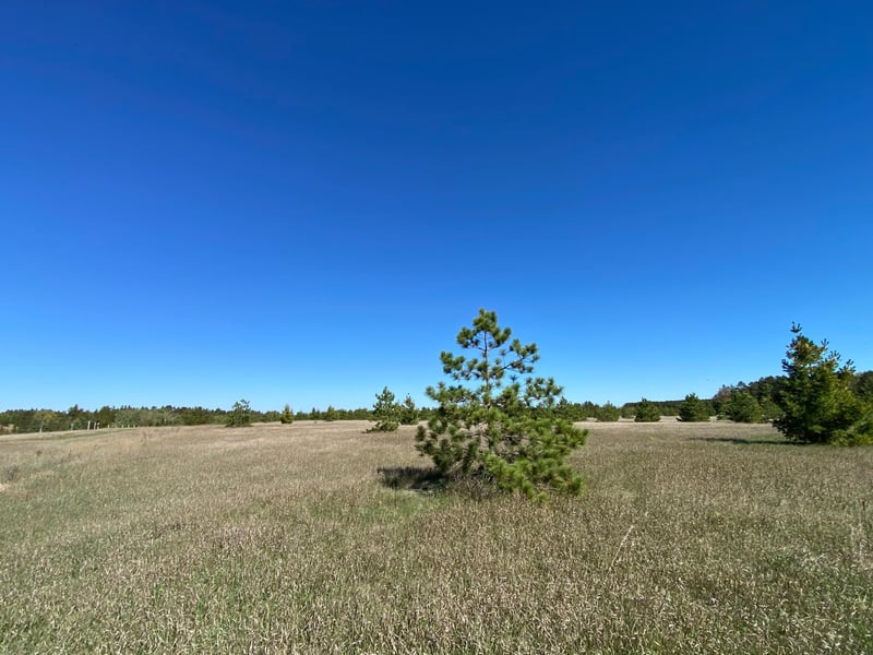 TBD Crooked River Dr Tract B, Park Rapids, MN 56470