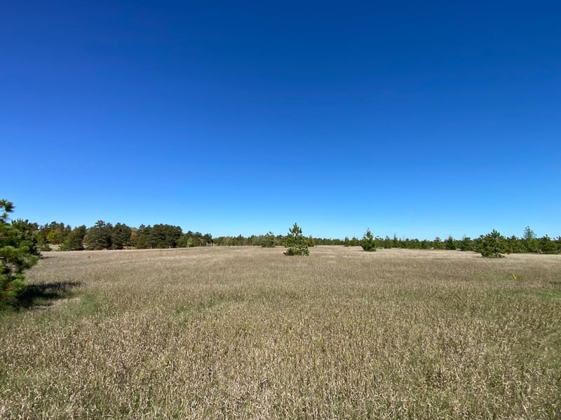 TBD Crooked River Dr Tract B, Park Rapids, MN 56470