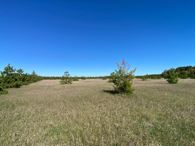 TBD Crooked River Dr Tract C, Park Rapids, MN 56470