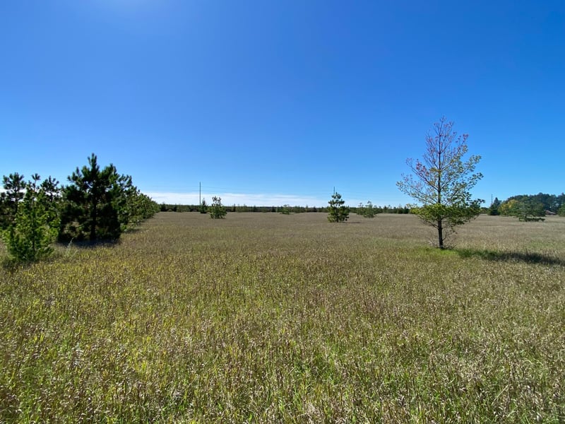TBD Crooked River Dr Tract C, Park Rapids, MN 56470
