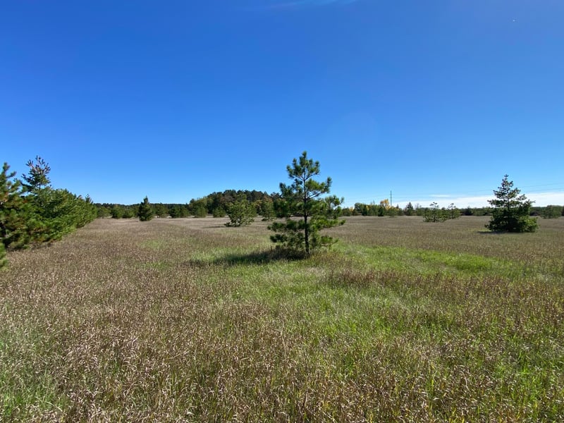 TBD Crooked River Dr Tract C, Park Rapids, MN 56470