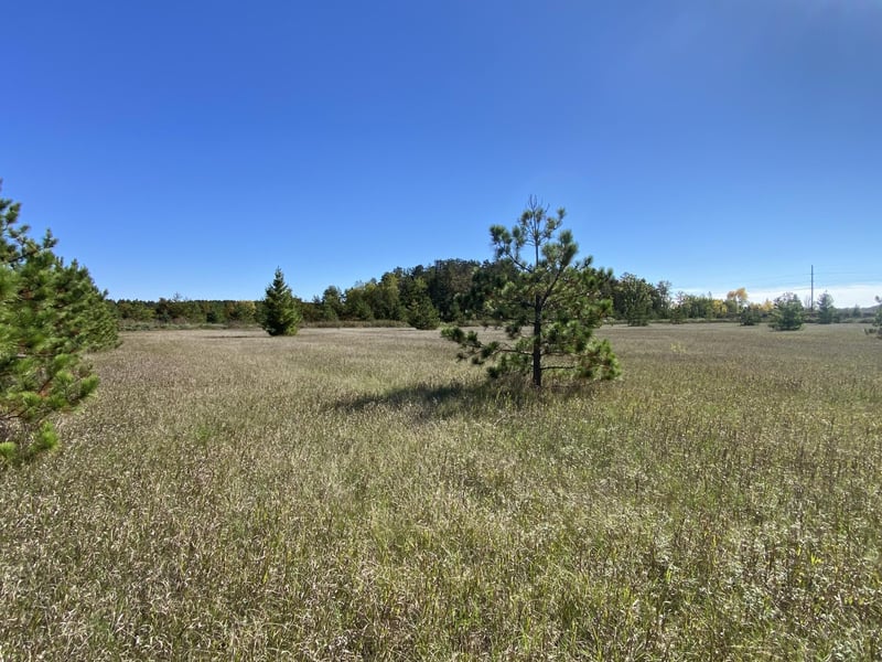TBD Crooked River Dr Tract D, Park Rapids, MN 56470