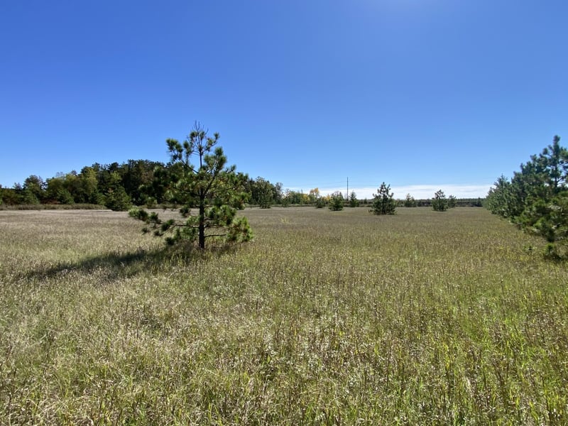 TBD Crooked River Dr Tract D, Park Rapids, MN 56470