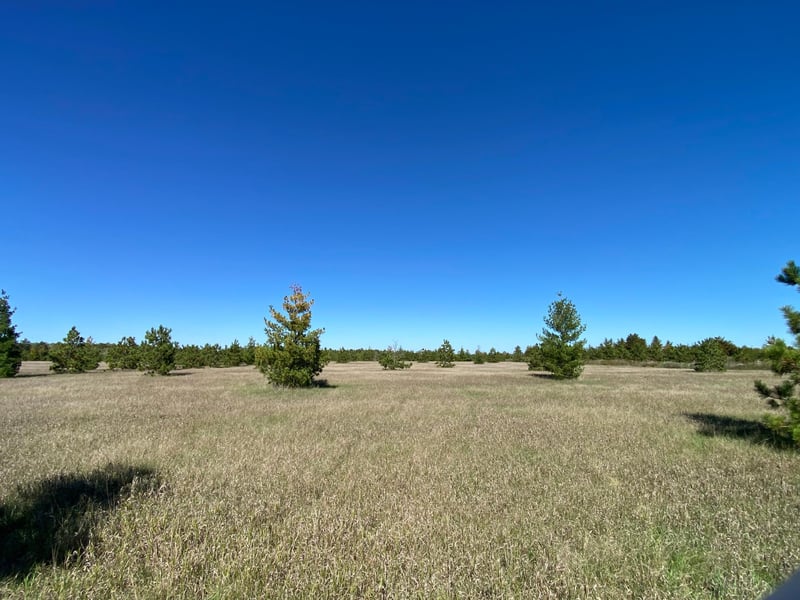 TBD Crooked River Dr Tract D, Park Rapids, MN 56470