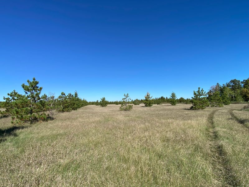 TBD Crooked River Dr Tract D, Park Rapids, MN 56470