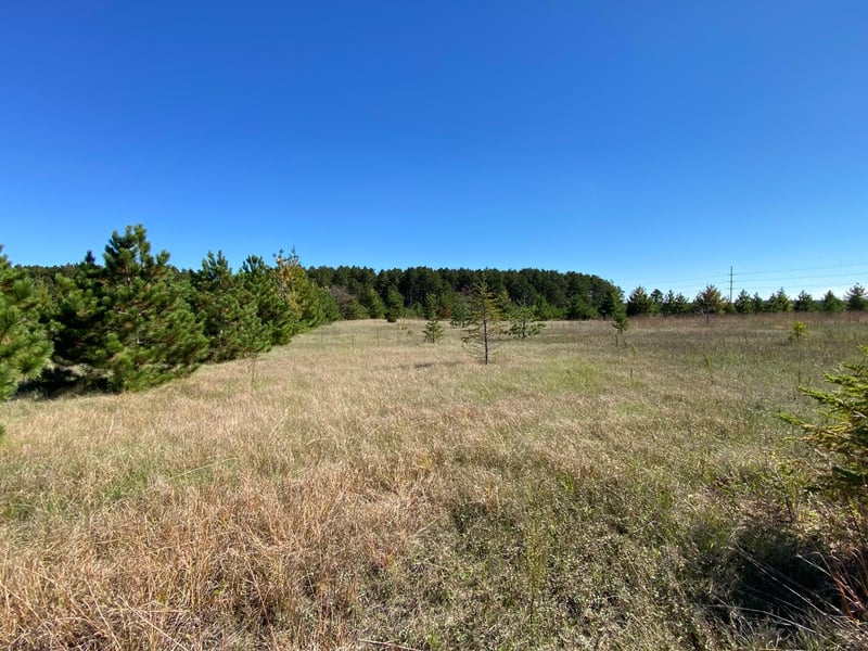 TBD State Hwy 87 Lot 1, Park Rapids, MN 56470