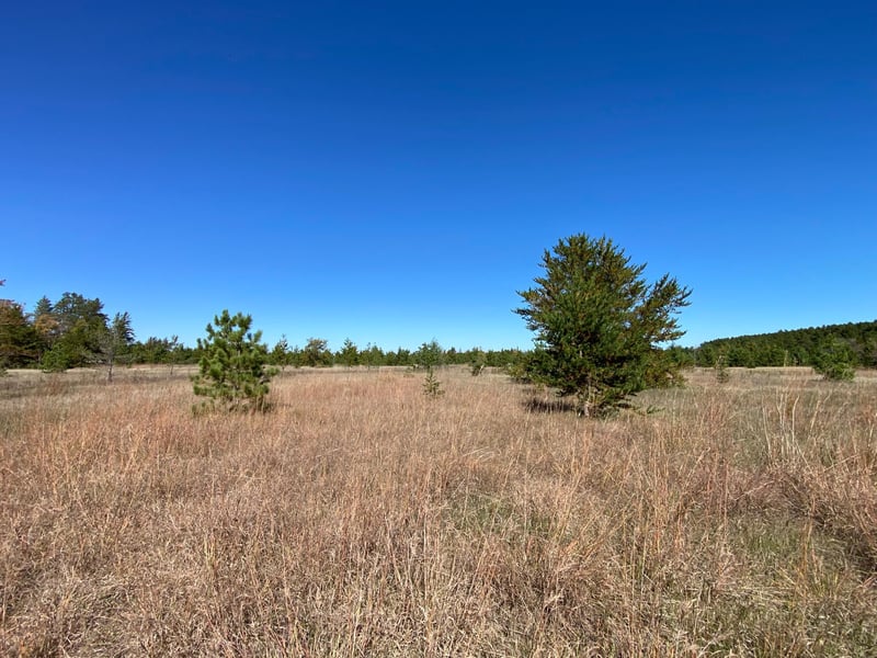TBD State Hwy 87 Lot 1, Park Rapids, MN 56470