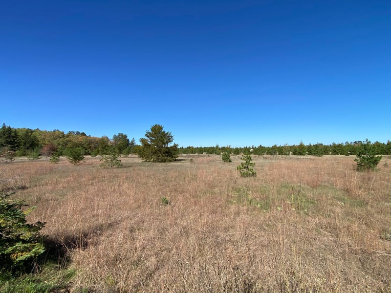 TBD State Hwy 87 Lot 1, Park Rapids, MN 56470