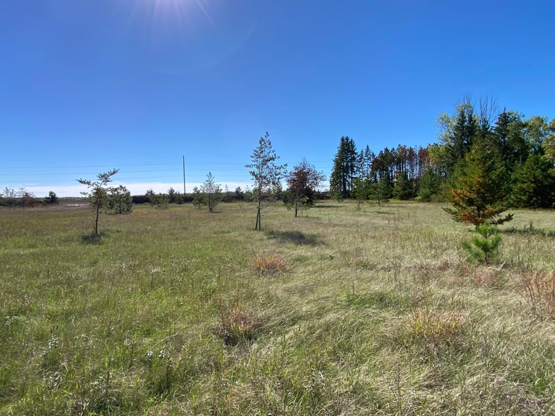 TBD State Hwy 87 Lot 2, Park Rapids, MN 56470