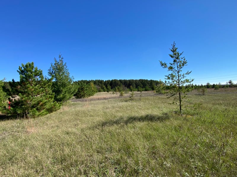 TBD State Hwy 87 Lot 2, Park Rapids, MN 56470