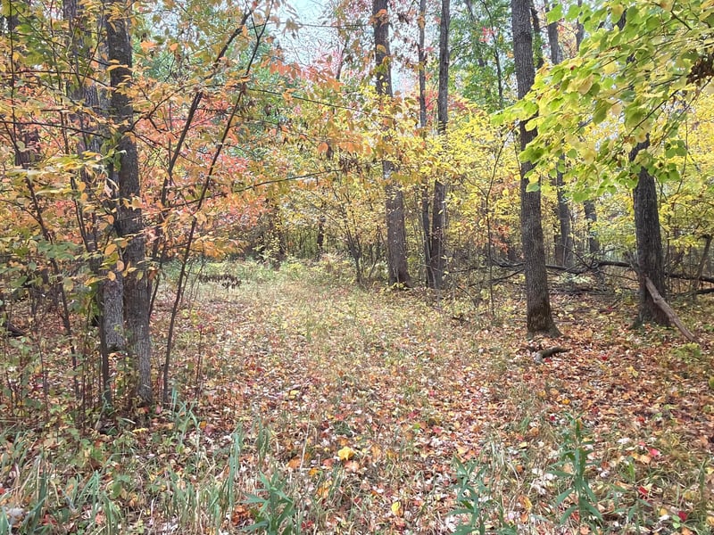 0 Klarquist Rd, Lincoln Twp, WI 54840