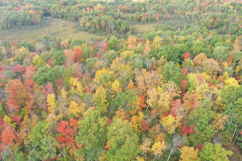 0 Klarquist Rd, Lincoln Twp, WI 54840