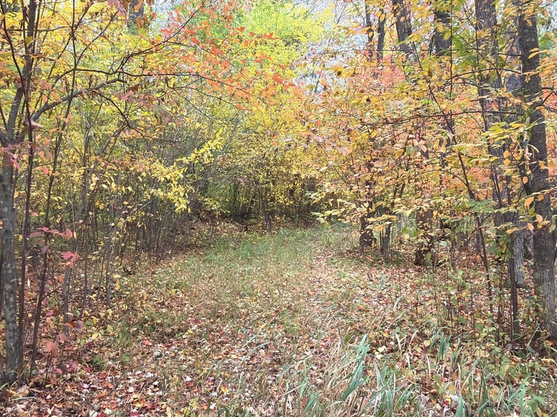0 Klarquist Rd, Lincoln Twp, WI 54840