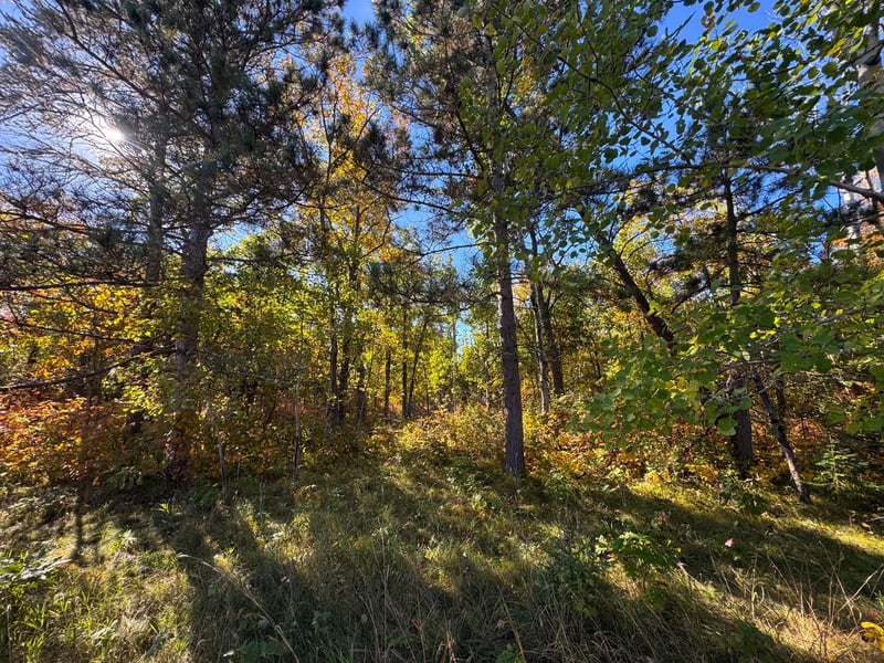 TBD Golf View Dr NE, Bemidji, MN 56601