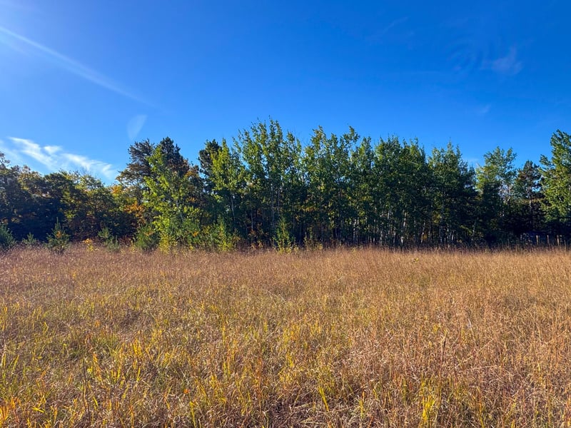 TBD Golf View Dr NE, Bemidji, MN 56601