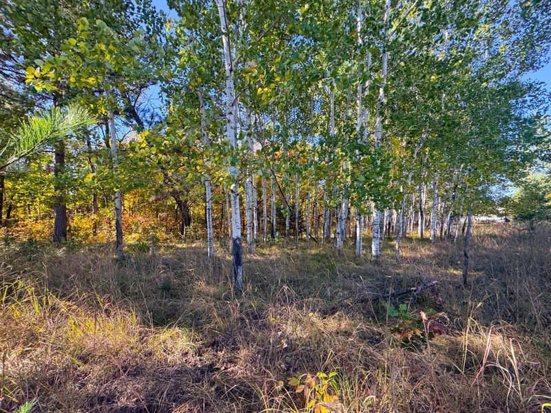TBD Golf View Dr NE, Bemidji, MN 56601