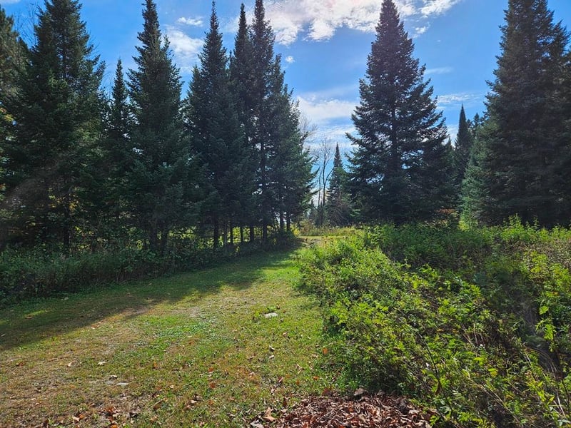 Lt 3 Blk 1 County Rd 238, Deer River, MN 56636