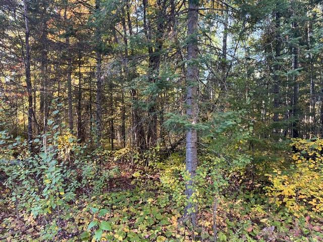 TBD S Loon Lake Rd, Aurora, MN 55705