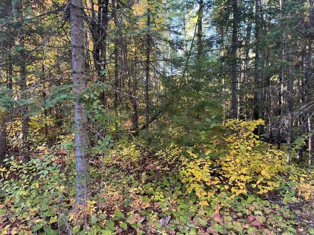 TBD S Loon Lake Rd, Aurora, MN 55705