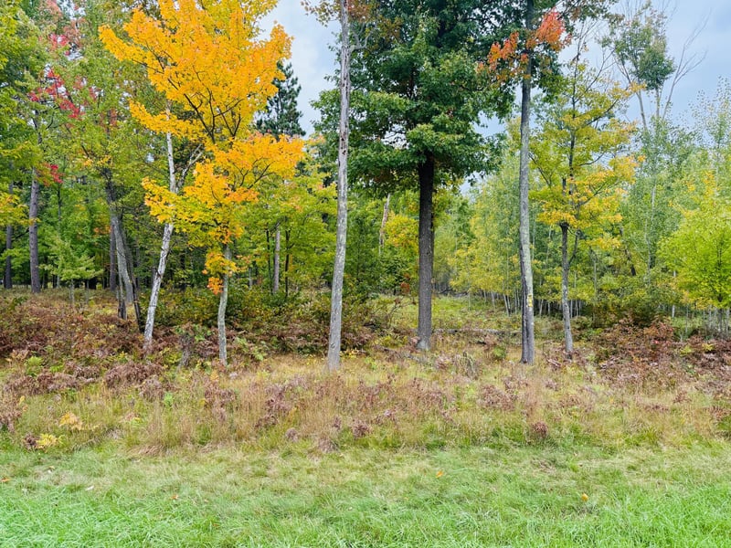 L1 B4 Drahos Rd, Brainerd, MN 56401