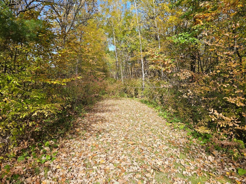 TBD Lot 2 Bunny Ln, Crosby, MN 56441