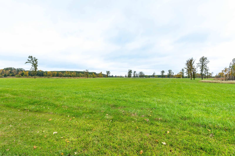 23727 County Highway 65, Henning, MN 56551